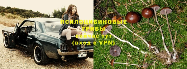 мескалин Зеленокумск